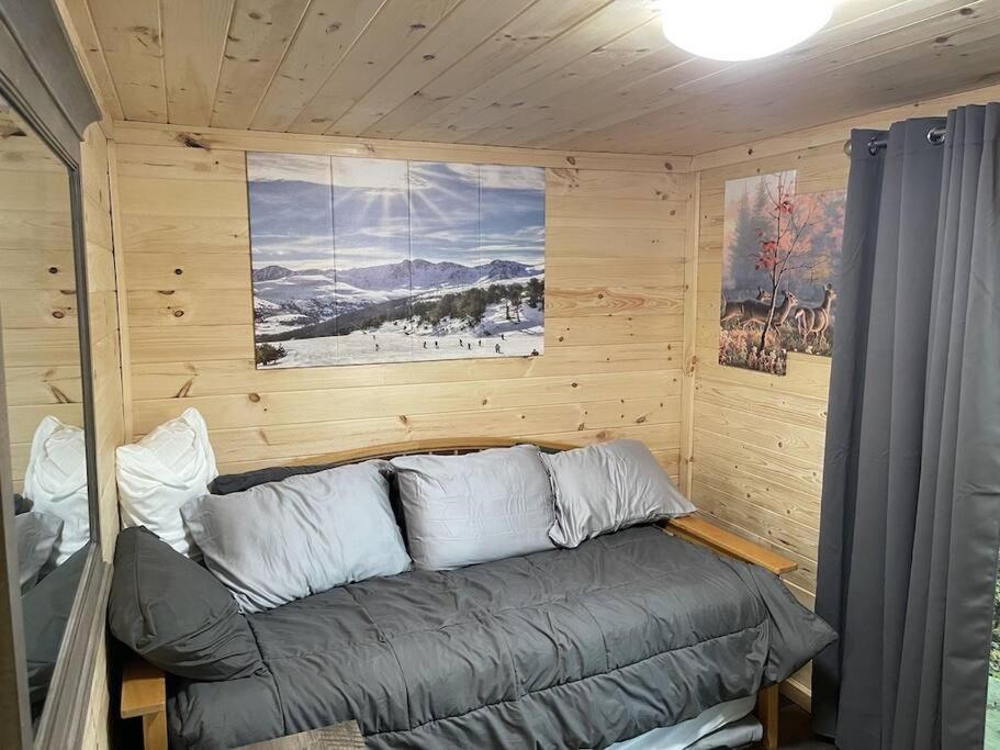 Creekside 3 Bedroom 2 Bath Cabin On Private Creek 班纳埃尔克 外观 照片