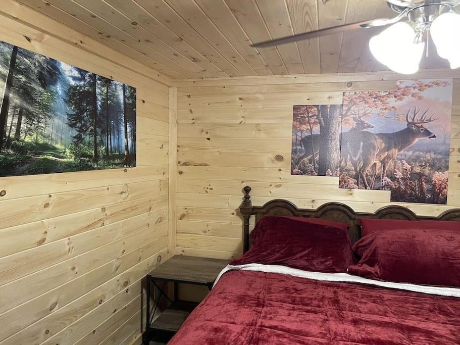 Creekside 3 Bedroom 2 Bath Cabin On Private Creek 班纳埃尔克 外观 照片