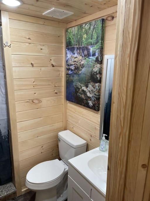 Creekside 3 Bedroom 2 Bath Cabin On Private Creek 班纳埃尔克 外观 照片